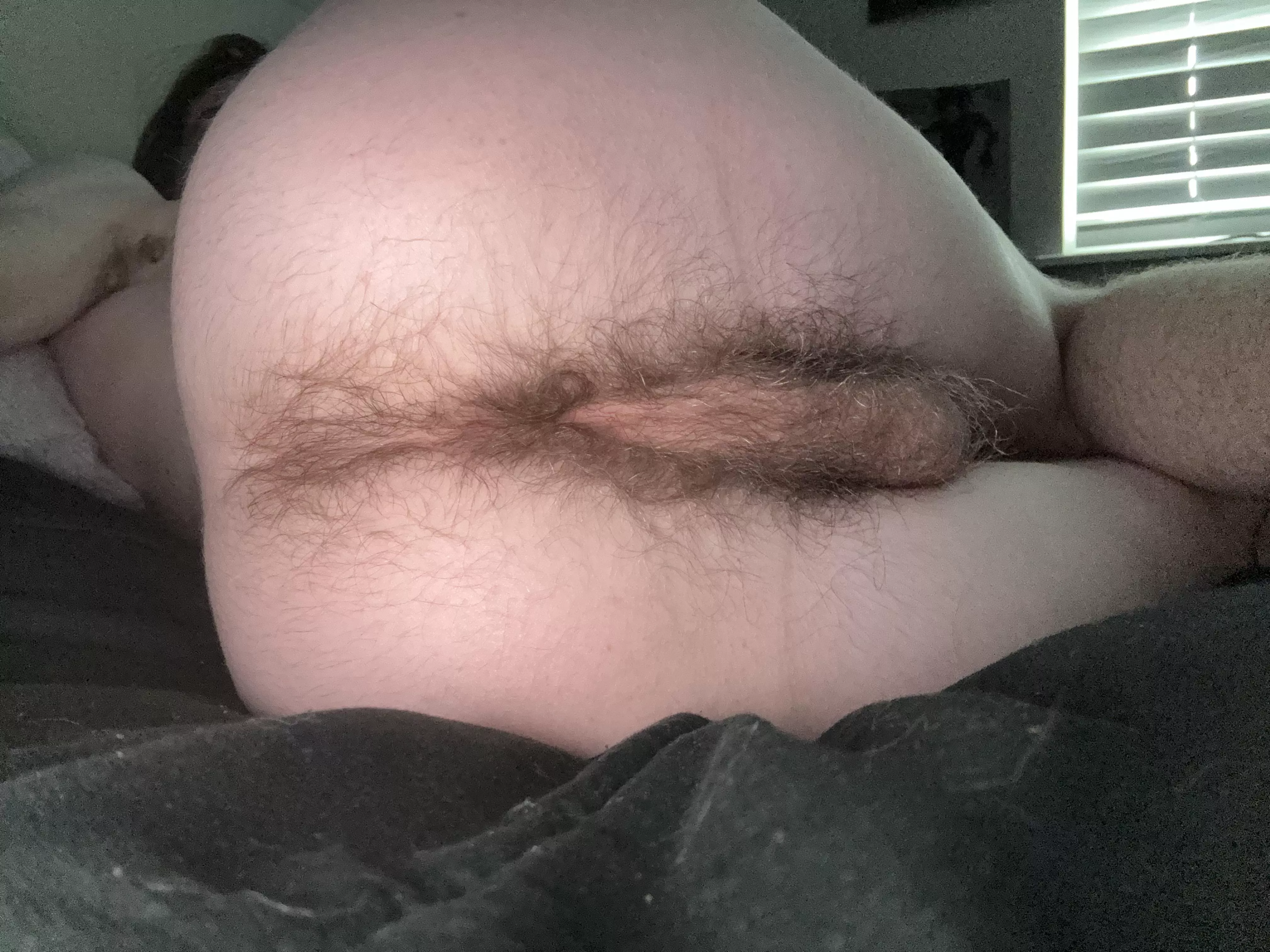 My boyfriend never wants to eat my ass, will you? posted by NoWerewolf9816