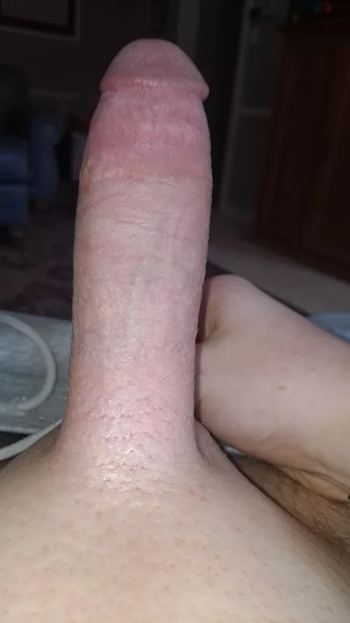 Need someone to help me fit back into my pants~ Dms open by Ok-Enthusiasm9139