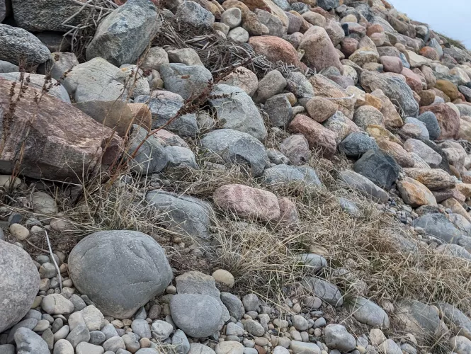 No judgement please but I am Beyond Broke hoping for a miracle wondering if is there anyone out that could help a girl out? In between pay cheques and need to get food and gas money. can pay back  on Friday  by PossibleGuidance3