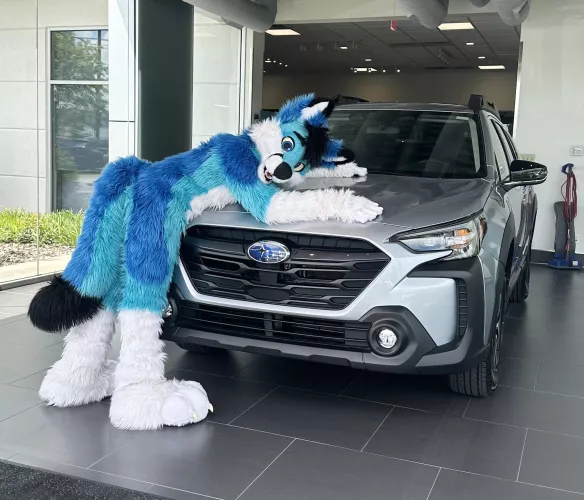 Picked up a car today at a dealership! by spiritofniter