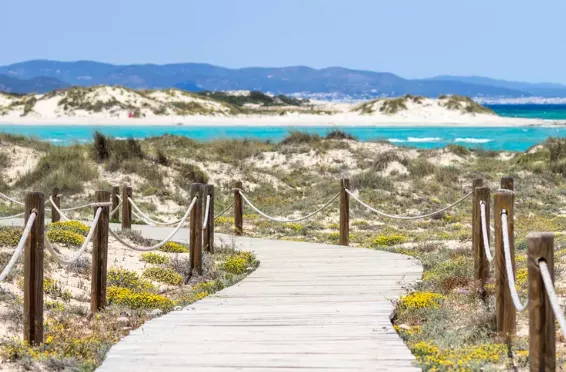 Platja de Ses Illetes, Spain posted by KavanSmith9955