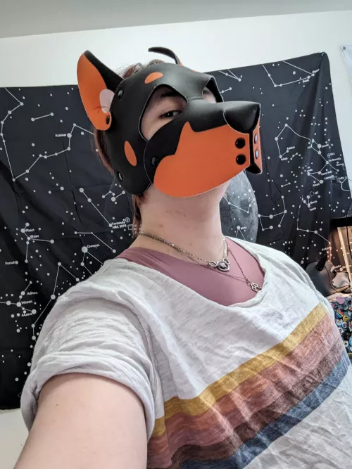 pretty boy by pup-atlas-