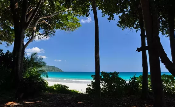 Radhanagar Beach, India posted by tardisinal