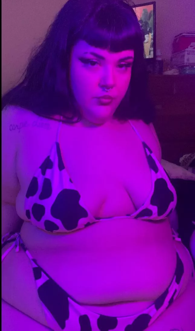 Say hi if you eat pussy for fun posted by ChubbyElfGirlfriend