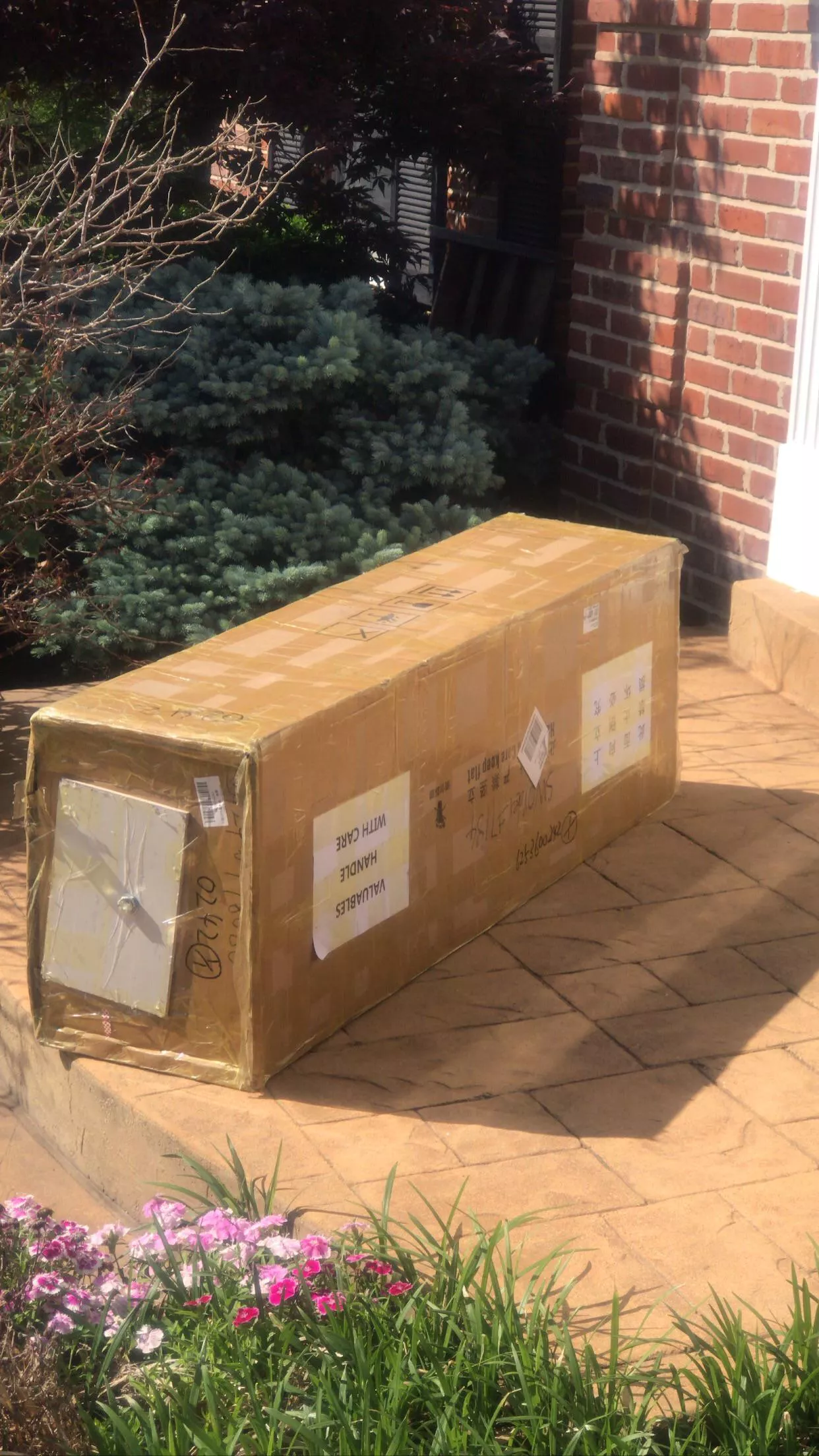 She is here… posted by TitaniumViper_7615