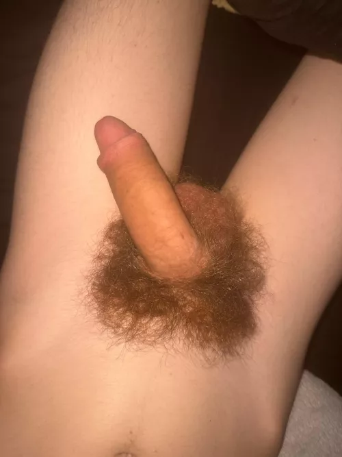 sit on my joystick and then check my bio :)  by NoWerewolf9816