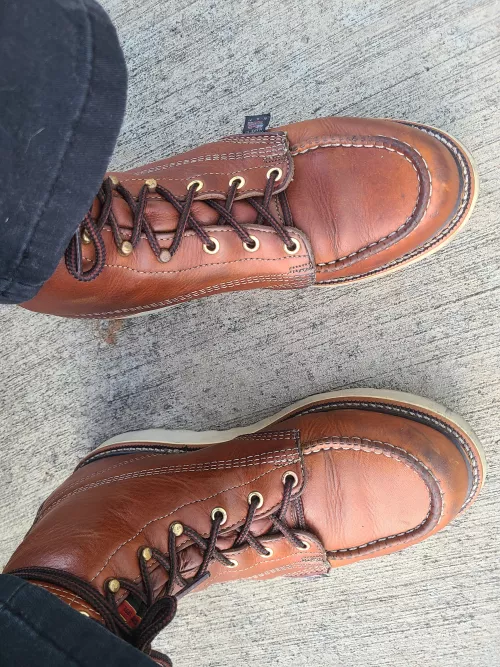 Thorogoods  by Altruistic_Guess3098