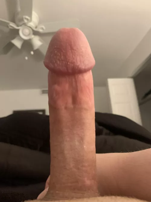 What do you think 🙈 by Throwaway1031___