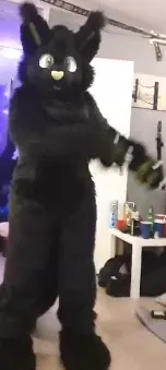 what species is this cutiepie? (not me) posted by Doge_is_me