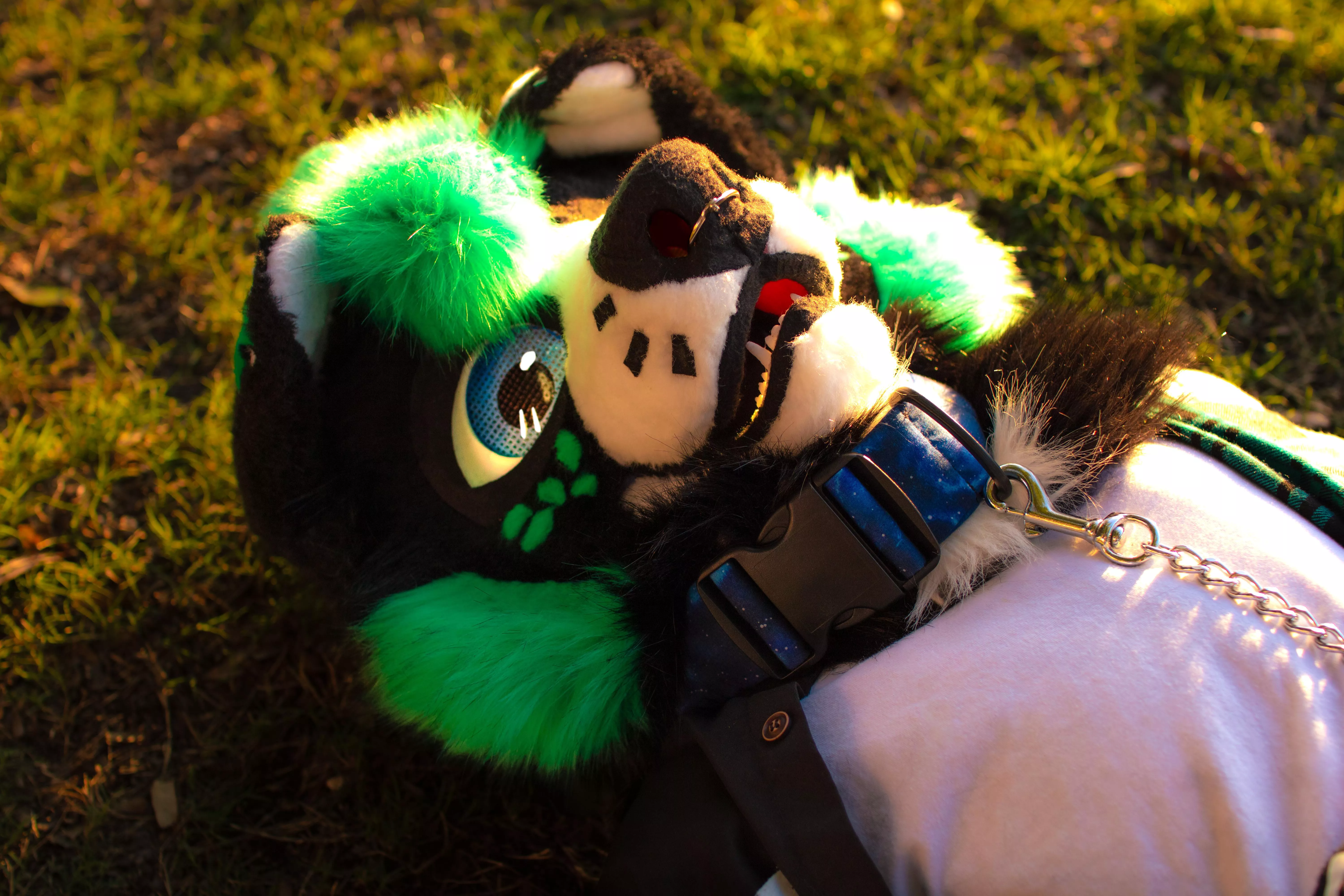 Who is you dream fursuit maker? posted by Tobi_The_Wah