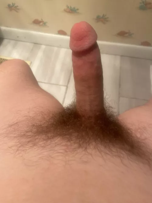 Am I to small  by Prestigious_Box_6738