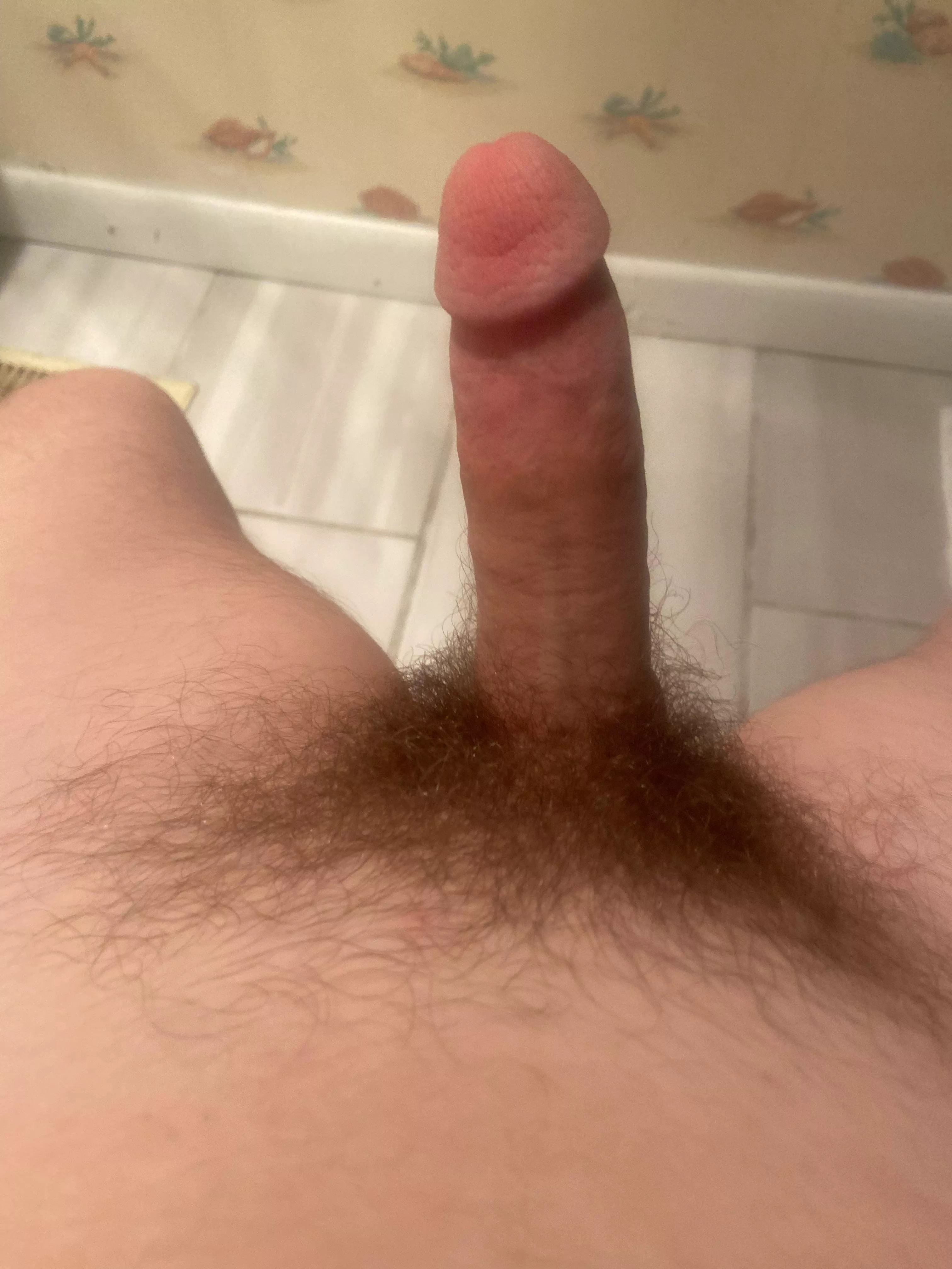 Am I to small  posted by Prestigious_Box_6738