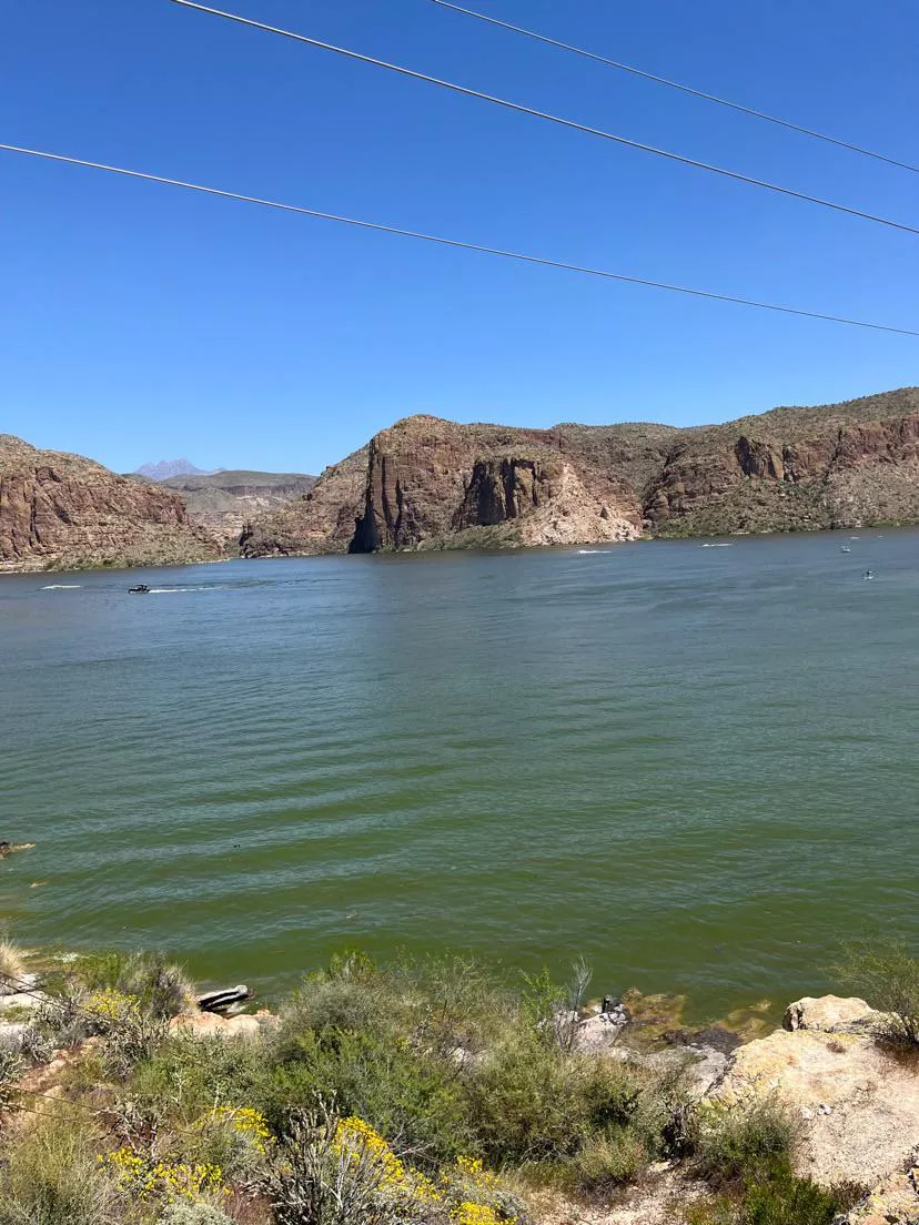 Couple new to ls posted by Successful-Career476