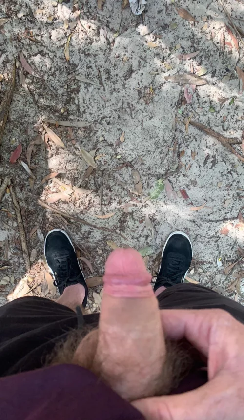 Cruising dunes in QLD Aus by australian_dude2
