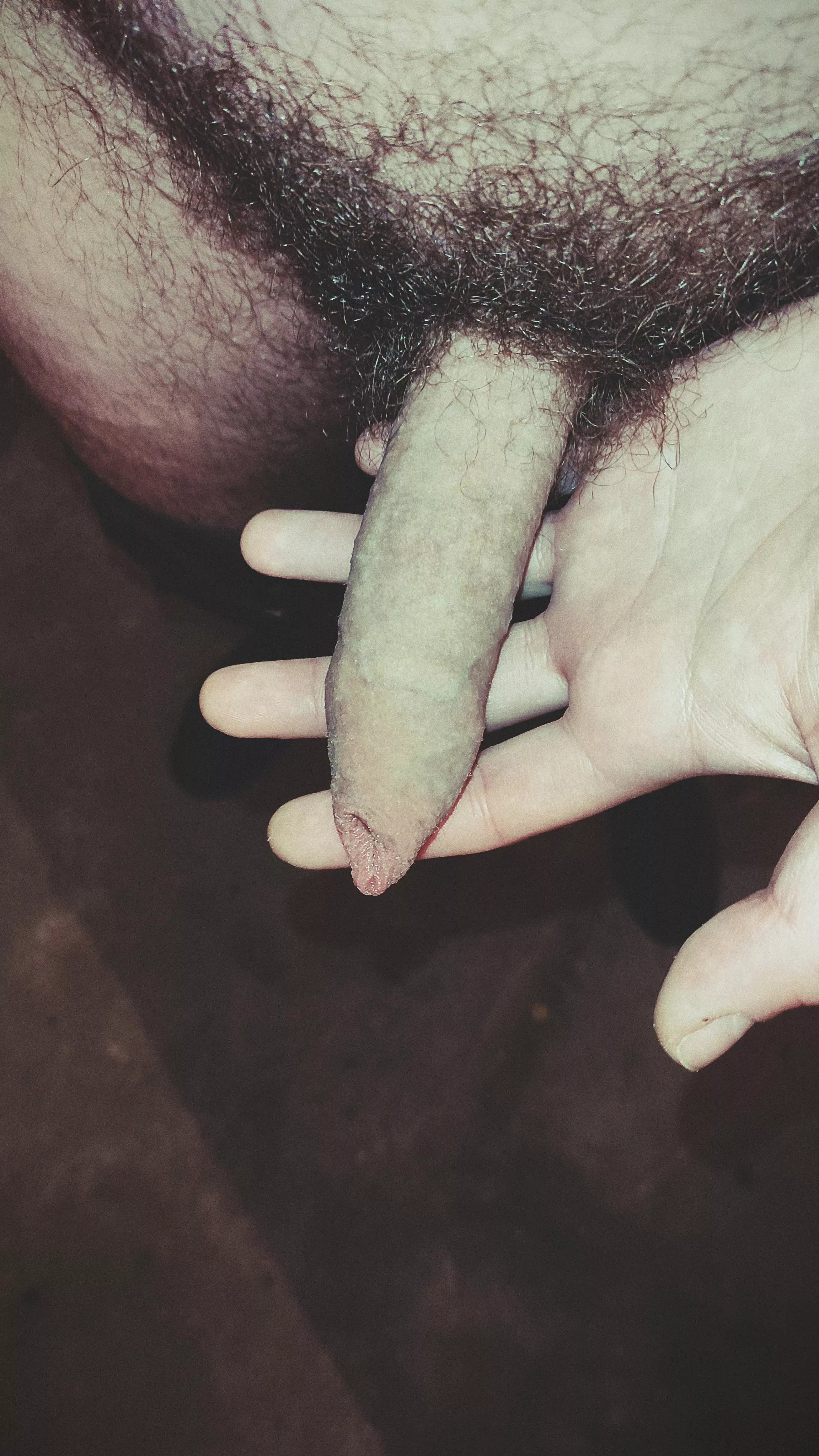 foreskin. posted by kambuk0011