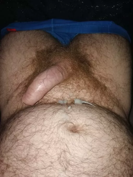 Ginger bush posted by TheUKHairyBear