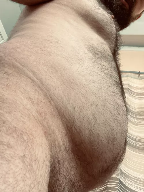 Hairy Dad Bod. Do you like? by hairychubbyman