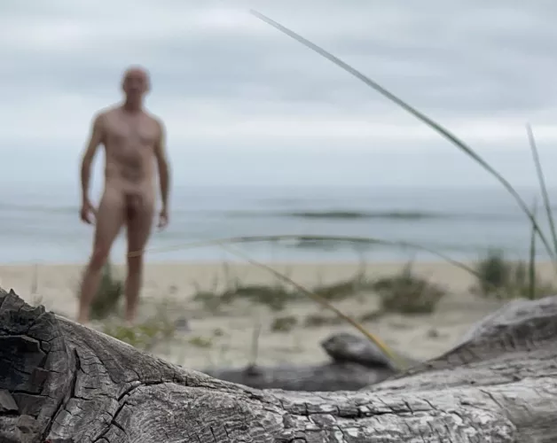 Happy casual Friday! by beachandforestfun