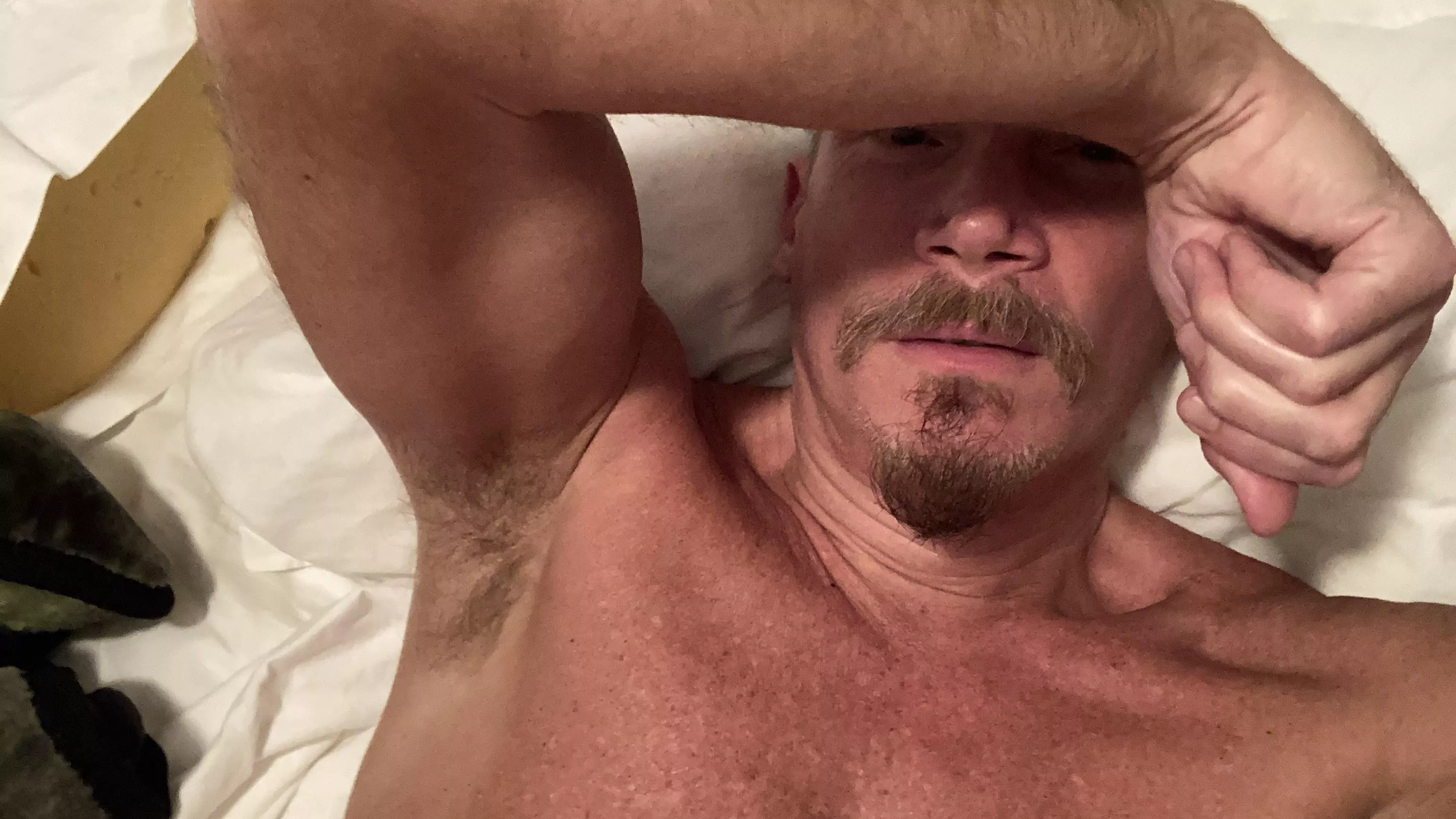 Hey posted by textileno