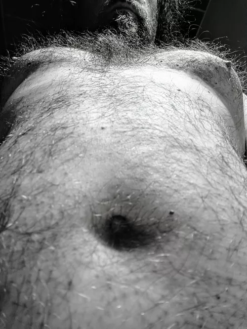 Hey is this bear hairy? by Impossible-Bed-9486