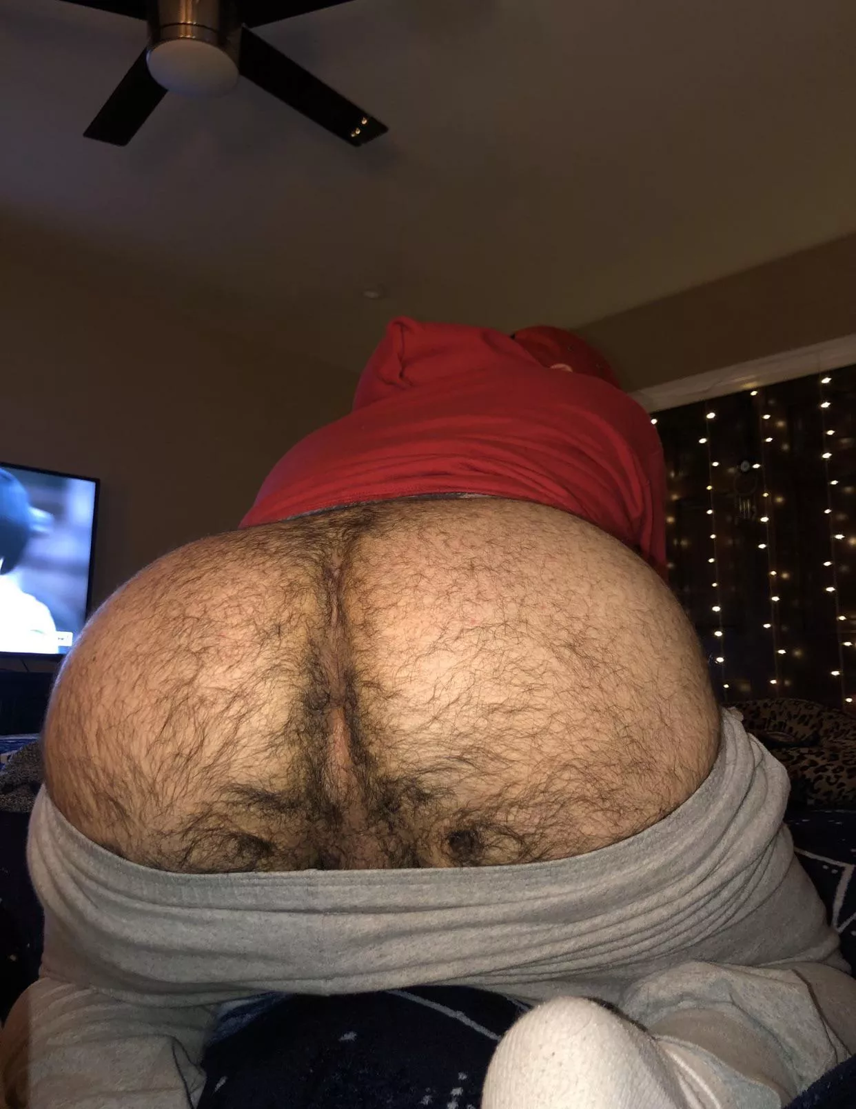 I hope you all enjoy this hairy ass and hole 🫣  posted by daniibbyxoxo