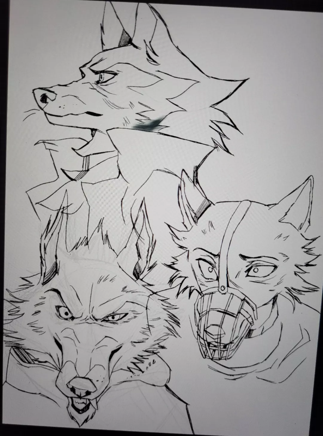 I kinda like how the line art turned out [:  I'll post the final result later! posted by wingedWolf333333333