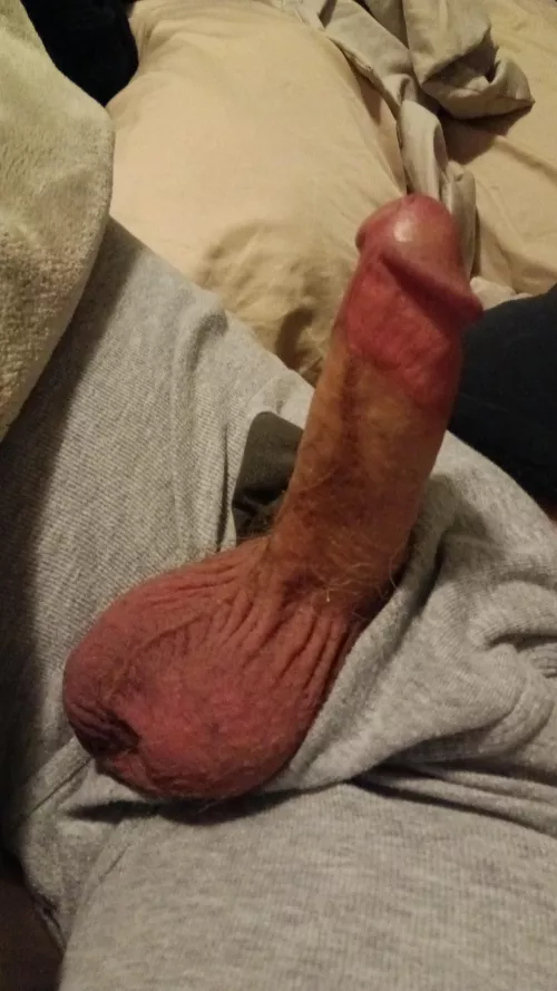 I like gooning for a big load.. anyone else do that? Or just two pumps and a grunt... lol by mikecrothburns