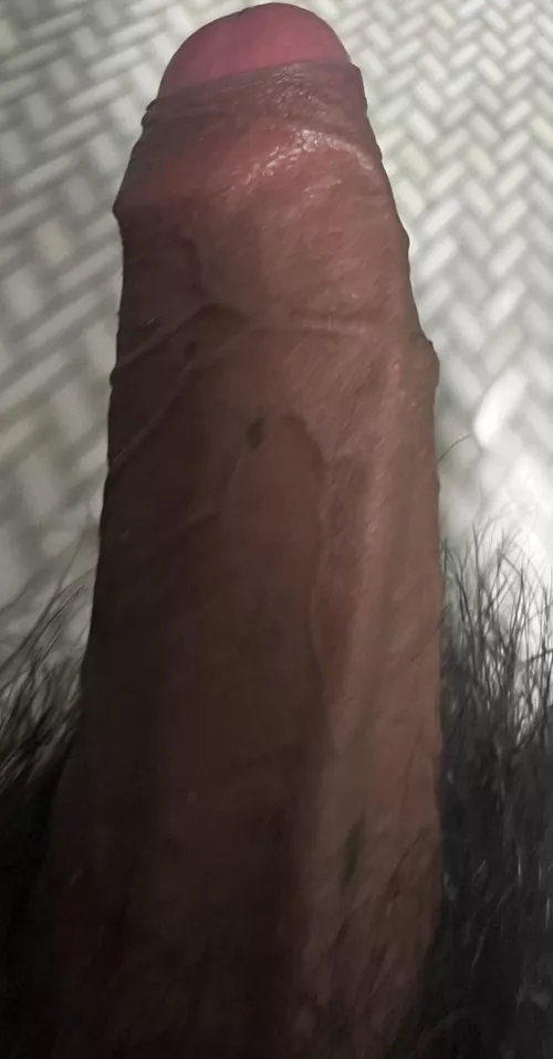 Latino teen cock by Zealousideal-Mud6264