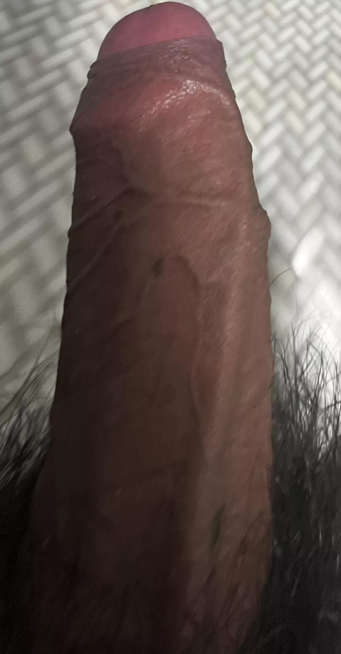 Latino teen cock posted by Zealousideal-Mud6264