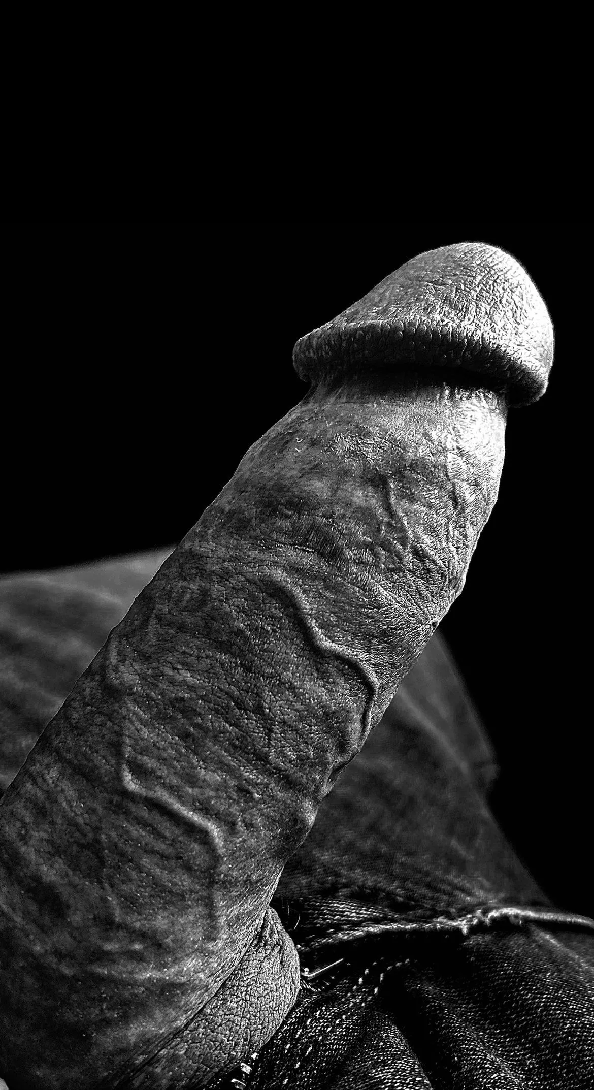 Morning arousal posted by jack-o-curious97