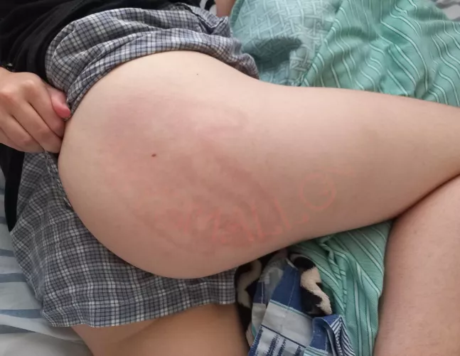 my owner loves marking his territory  by abysmalcouple