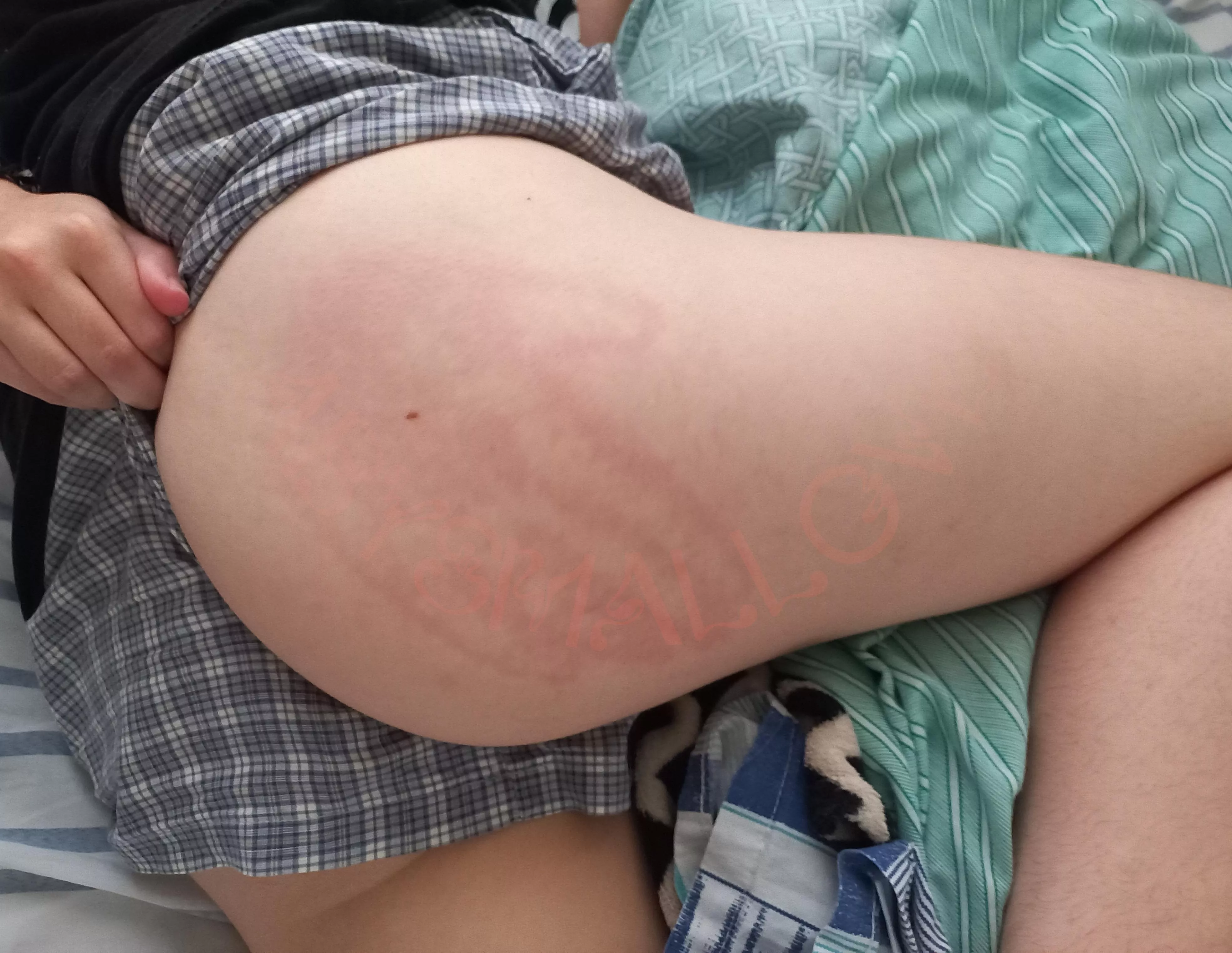 my owner loves marking his territory  posted by abysmalcouple