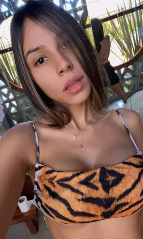 my wild bra for you by vertuta_melissa