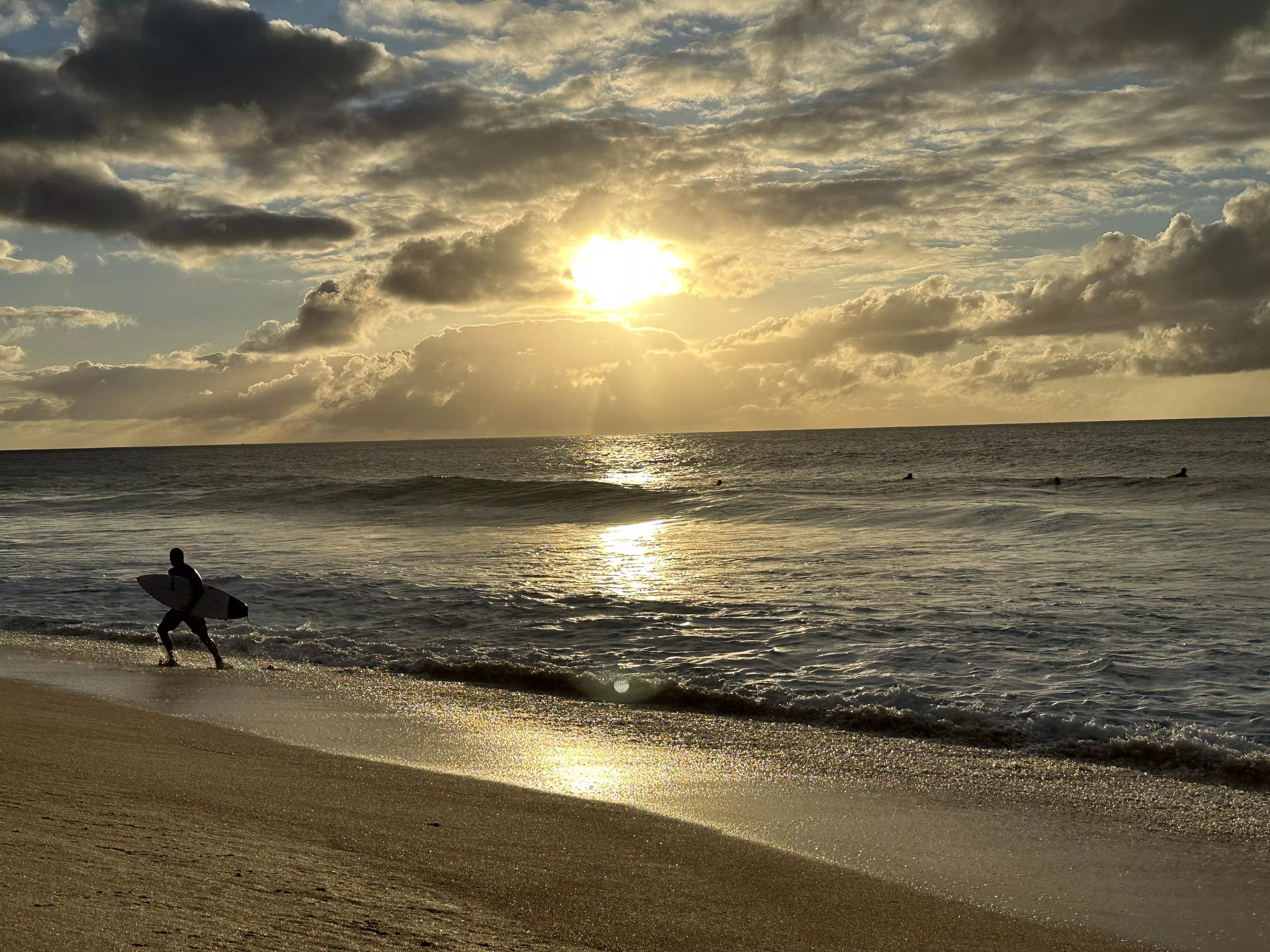 North shore Hawaii posted by shyamatara_d