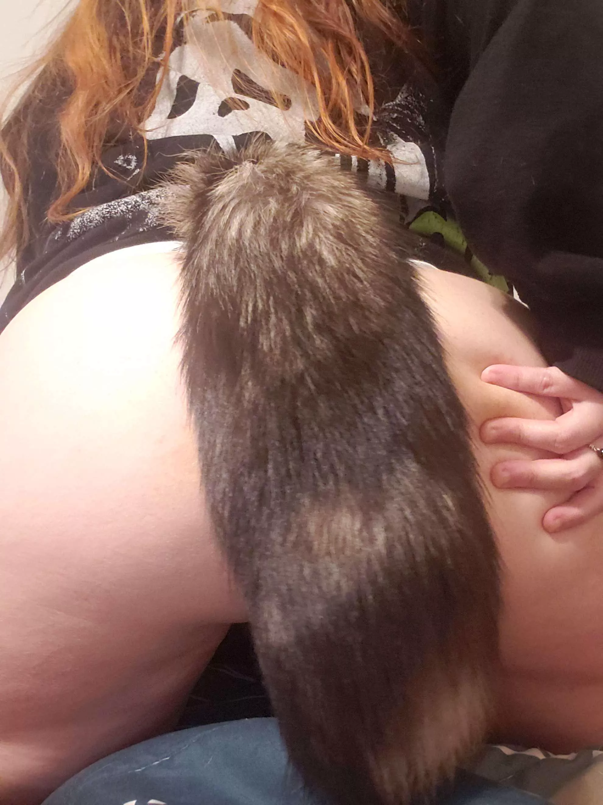 Pet My Fluffy Tail :3 posted by fadedstargazer