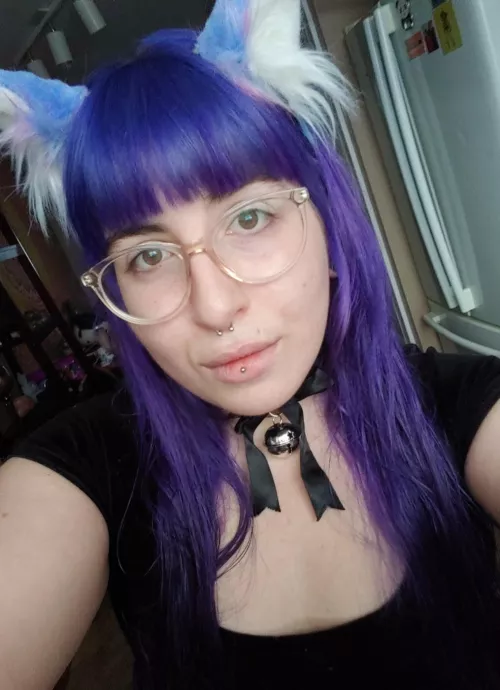 Purrrrr meow, cute or no? by maidennnnnn