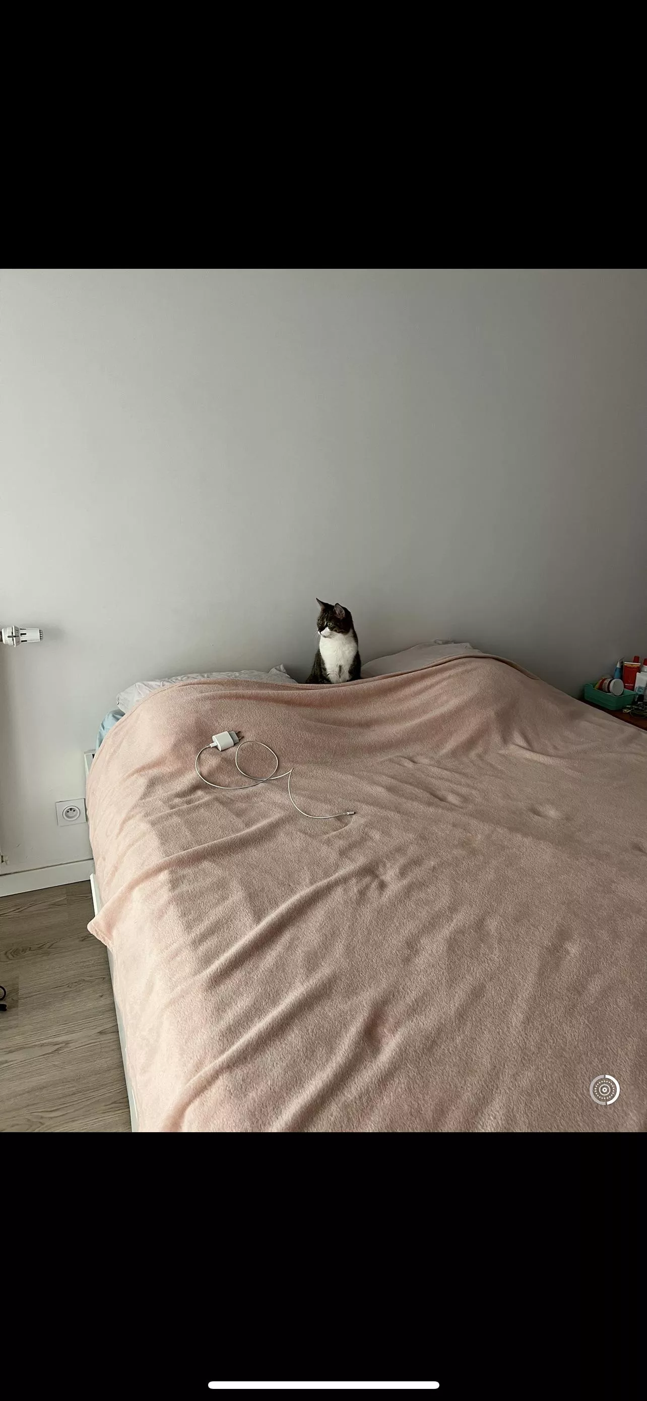 Should I buy a green screen ? posted by PresentationReady873