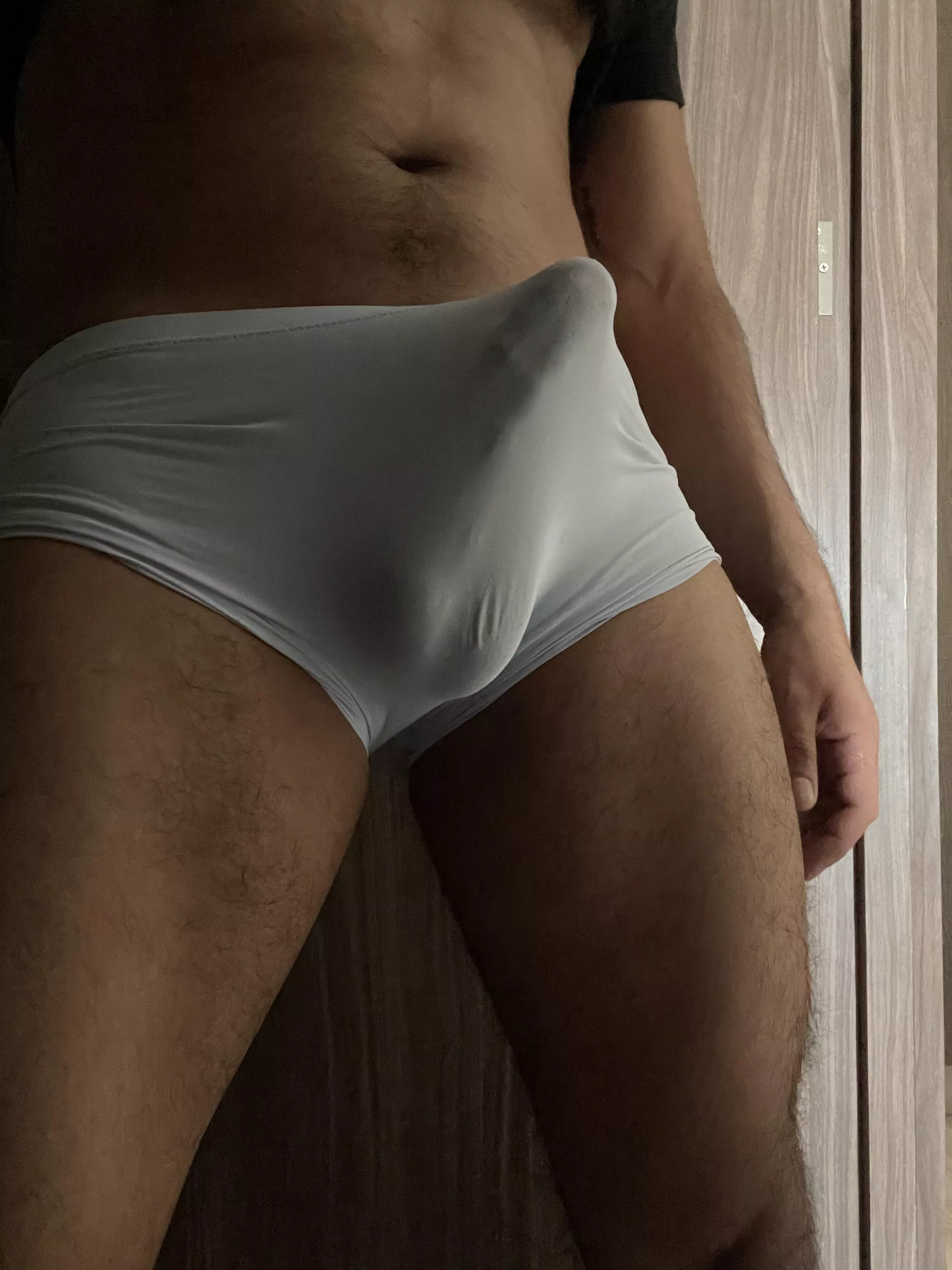 Should I buy more boxers like this?  posted by pablopba14