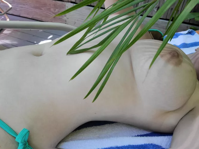 The palm was a paid actor  by PrivateExhibitionist