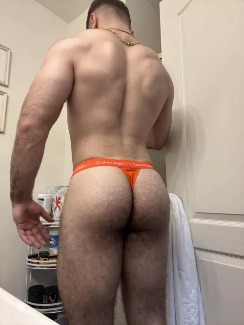 What color thong would you like to see my big, hairy ass in next?  by PersianMasterReddit