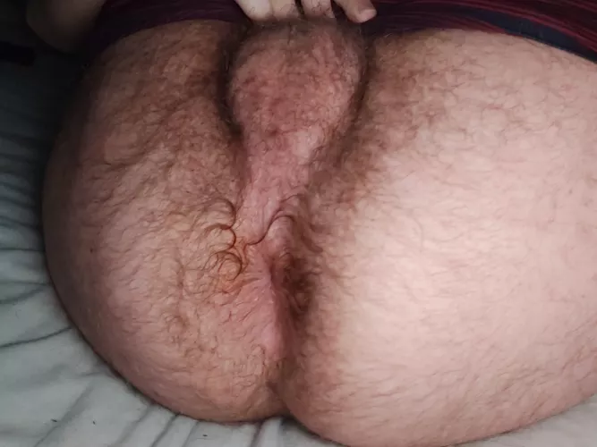 When I don't shave for weeks by AlternativeSame1558