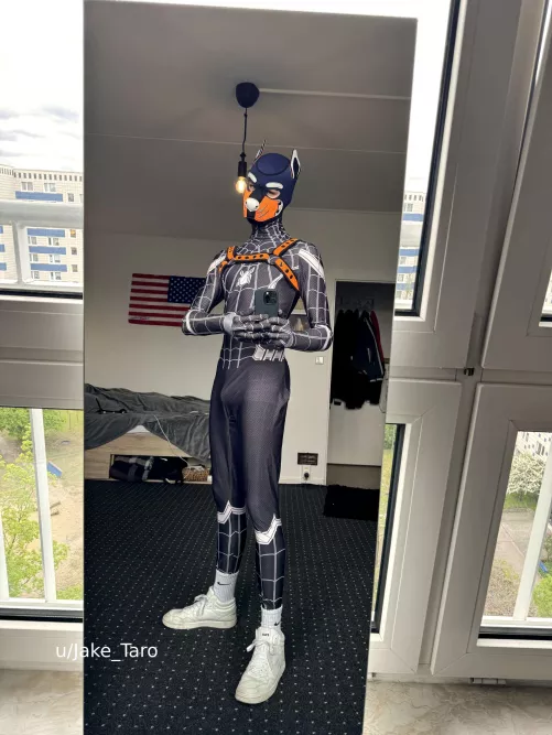 (20) spidey pup reporting for duty by Jake_Taro