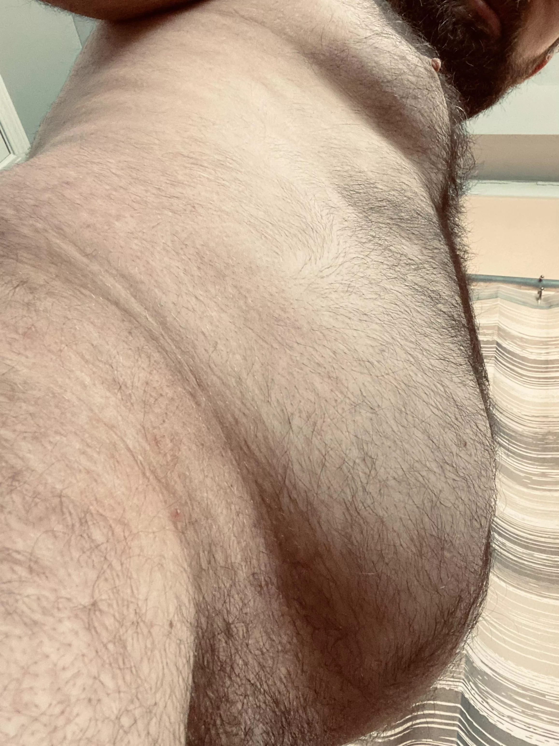 33 Like my Dad bod? posted by hairychubbyman