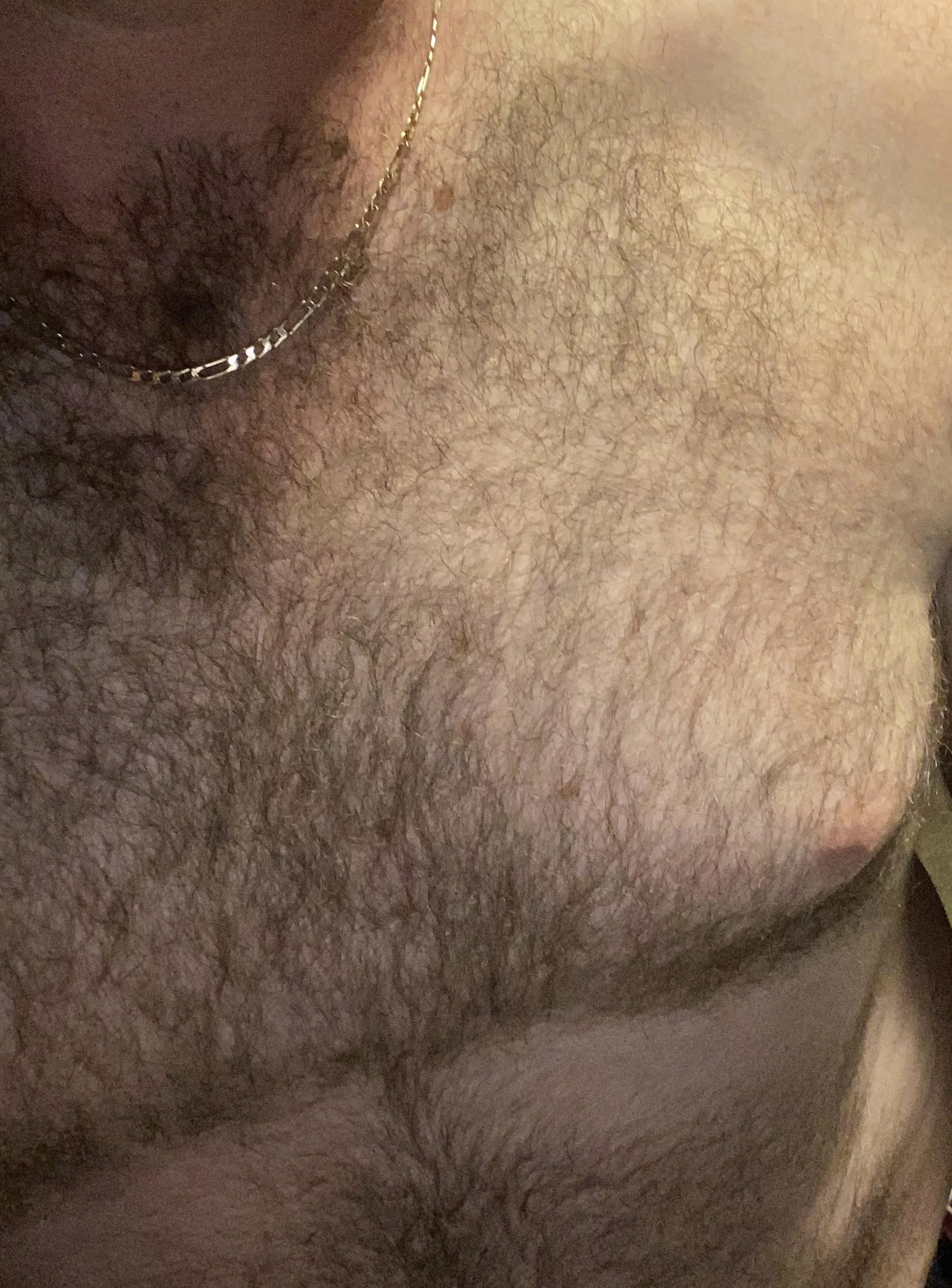 [33] tx dadbod posted by WildHelicopter1293