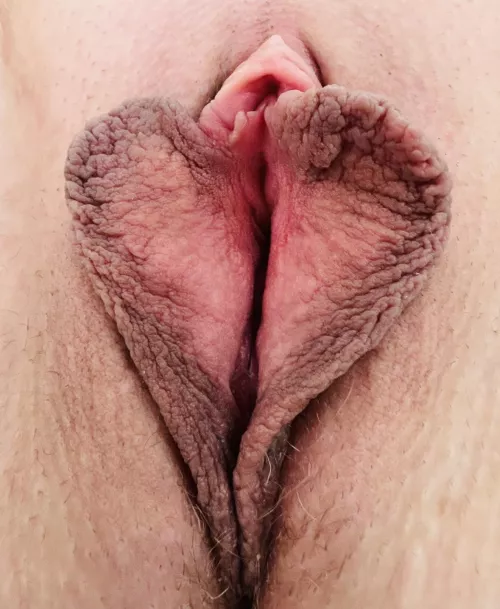 A perfect and clean heart shaped pussy. by formerstrippr