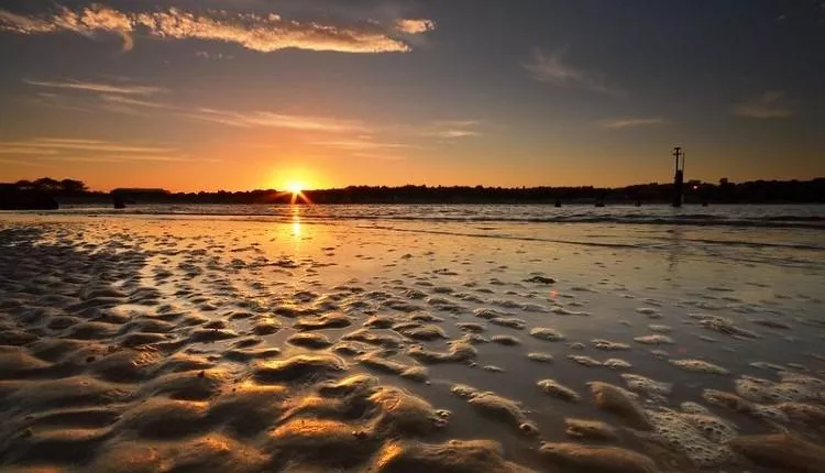 A touch of beach gold. posted by lkevin710