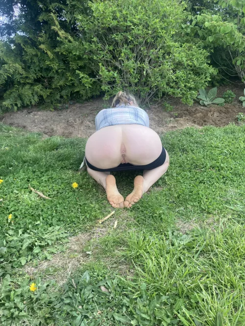 Anyone want to help me tend to my garden by justhereforthepie69