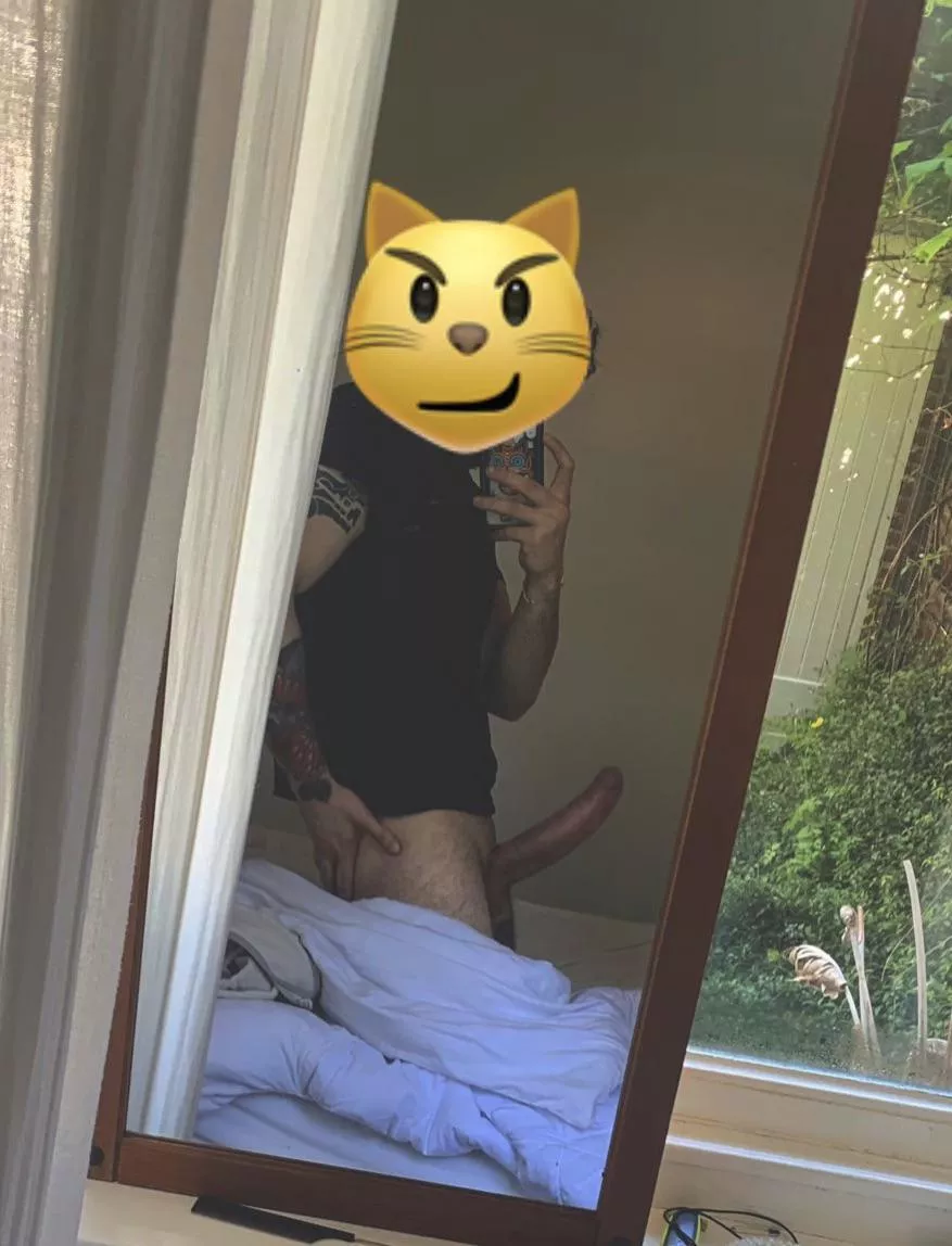 Can you rate me please? posted by GovernmentLost5415