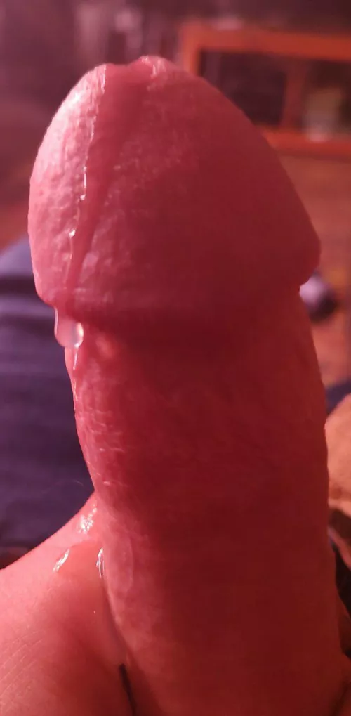 Cum slurp up all the precum out of me [OC] dms open by BasketOtherwise169