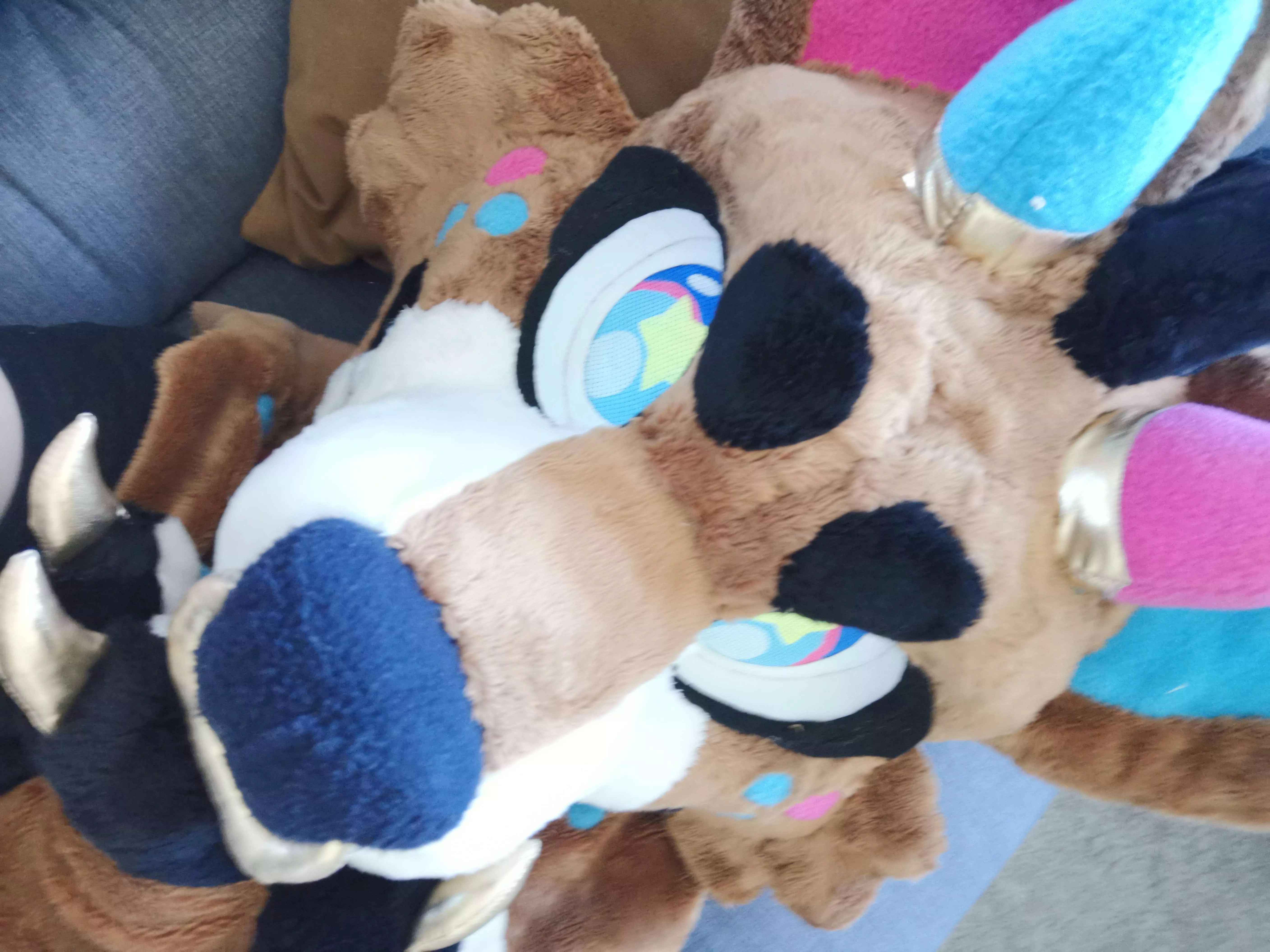 Dog on da couch posted by gay_0possum